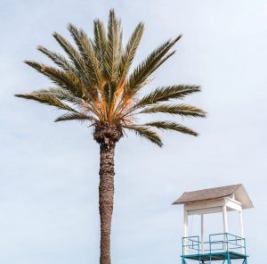 Autonoleggio Larnaka