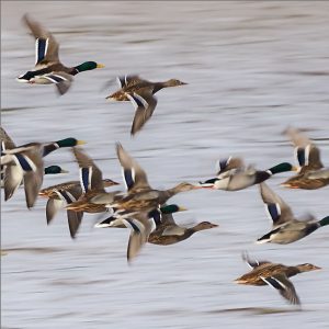 Noleggio auto Aeroporto di Ronneby