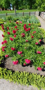 Autonoleggio Landskrona