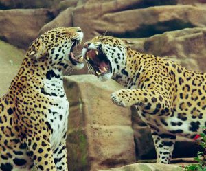 Autonoleggio Eskilstuna