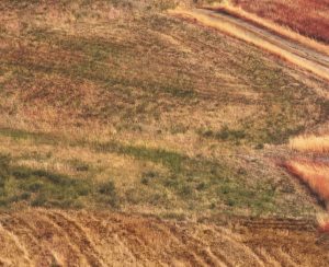 Autonoleggio Brindisi