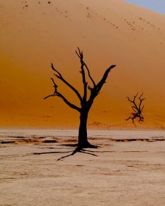 Autonoleggio Windhoek