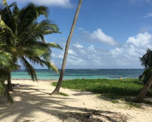 Noleggio auto economico in Martinica