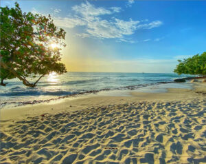 Noleggio auto economico in Aruba