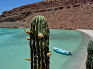 Autonoleggio economico Bassa California