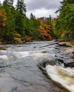 Autonoleggio Maryland