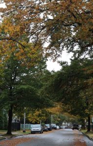 Autonoleggio New Jersey