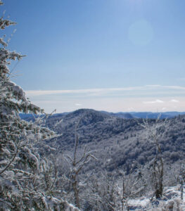 Autonoleggio Vermont