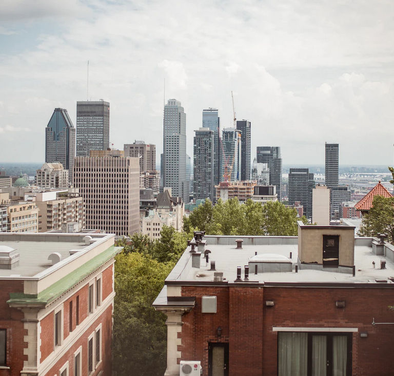 payless alexis nihon