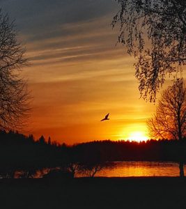 Noleggio auto Aeroporto di Vaasa