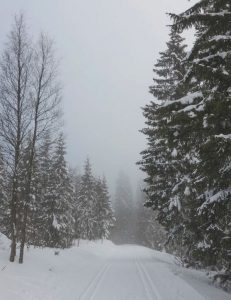 Noleggio auto Aeroporto di Karlstad