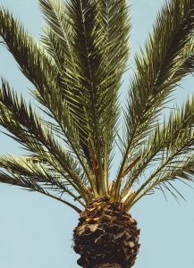 Autonoleggio Lamezia Terme