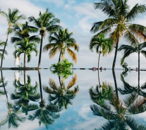 Noleggio auto economico in Mauritius