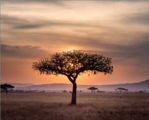 Noleggio auto Queenstown